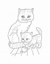 Coloring Pages Cat Kitten Cute Kids Cats Pet Supercoloring Colouring Mother Print Part Pdf Templates Animal sketch template