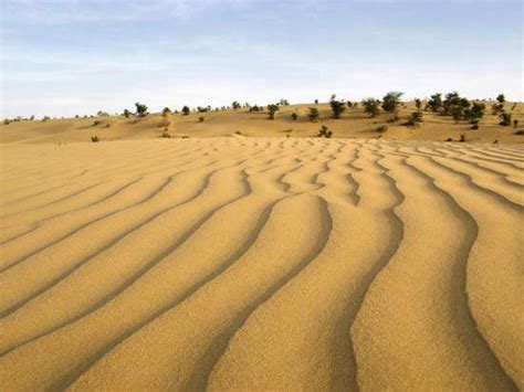 thar desert map climate vegetation and facts