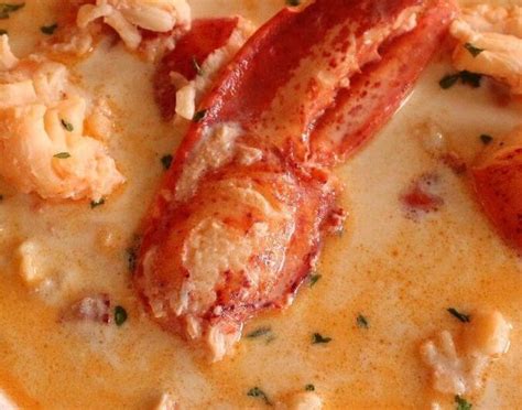 maine lobster stew healthycaresite