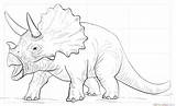 Triceratops Triceratop Triceratopo Dinosaurio Dinosaurier Ausmalbild Dinosaurios Cuernos Jurassic Kleurplaten Supercoloring Stampare Pintar Pdf Bebeazul Malvorlage Dinosaurus Dinosauri Styracosaurus Dinossauros sketch template