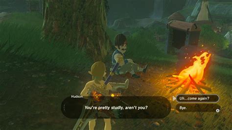 Characters React To A Naked Link In Zelda Breath Of The