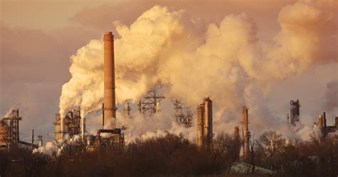 air pollution contributes   bone mineral content bmd