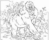 Gorilla Coloring Pages Animals Printable Mountain Silverback Kids Baby Revelation Sheets Color Colouring Gorillas Joking Craft Books Ivan Getcolorings Gotta sketch template
