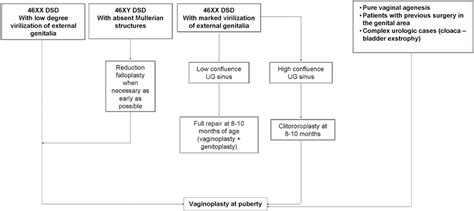 frontiers vaginoplasty for disorders of sex development