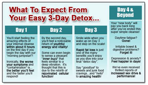 day detox diet plan  diet solutions program