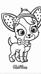 Chihuahua Dibujos Perritos Raskrasil Coloringpages sketch template