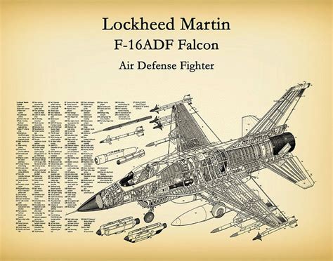 Lockheed F 16 Falcon Blueprint Lockheed F 16adf Fighter
