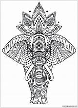 Mandala Coloring Animal Pages Elephant Adults Surging Color Kids Bubakids sketch template