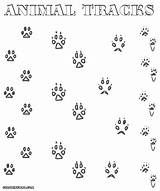 Coloring Tracks Footsteps Animal Pages Designlooter 1000px 13kb Print 99kb sketch template