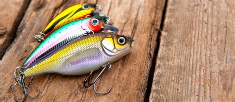 fishing lures   buying guide gearhungry