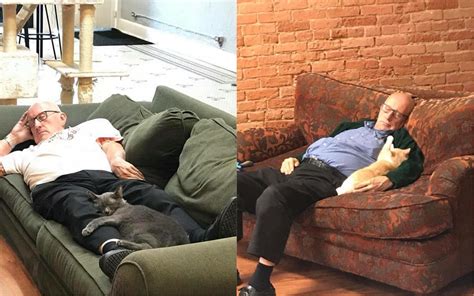 75 year old man who naps with cats while volunteering every day goes