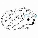 Hedgehog Draw Drawing Easy Cute Drawings Step Animals Easydrawingguides Line Kids Tutorial Lines sketch template