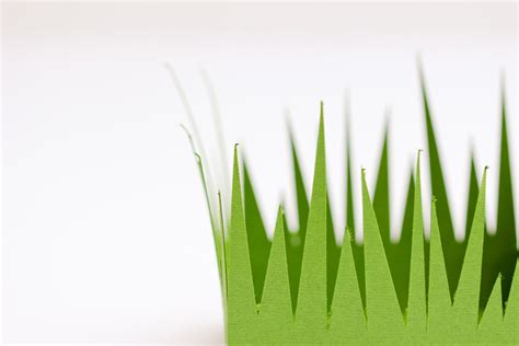 paper    grass