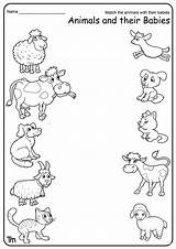 Farm Animals Preschool Animal Worksheets Lesson Theme Plan Printable Sounds Worksheet Babies Preschoolers Teachersmag Activities Their Baby Kids Pre Matching sketch template