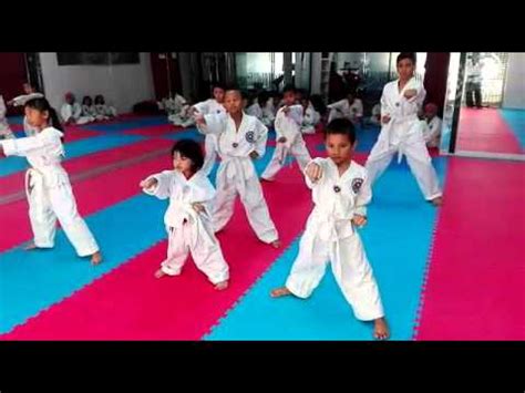 white belt training taekwondo  gym tkdall youtube