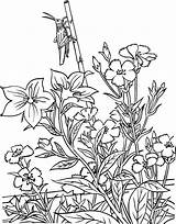 Pflanzen Blumen Jardim Heuschrecke Konik Polny Kolorowanki Coloringtop Malvorlage Eden Encantado Malvorlagen Dzieci Ausmalbild Coloringhome sketch template