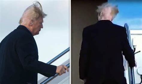 president trump  finally confessed  truth   hair   viral