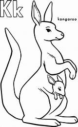 Kangaroo Coloring Pages Coloringbay sketch template