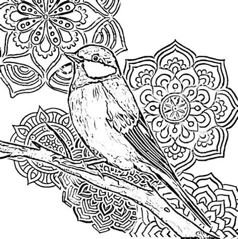 bird mandala coloring pages bird coloring pages bird coloring bird