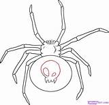 Spider Drawing Widow Coloring Tattoo Template Spiders Easy Pages Step Cartoon Draw Drawings Simple Web Kids Printable Redback Templates Tattoos sketch template