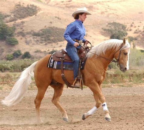 woman riding      brown horse   dirt field