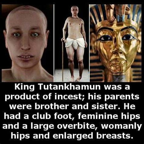 king tut club foot tutankhamun king tut wtf fun facts cute birds