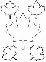 Leaf Maple Printable Template Pattern Large Outline Coloring Templates Leaves Small Cut Patterns Clipart Tattoo Printables Kids Clip Library Pages sketch template