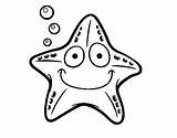 Starfish Animals Coloring sketch template