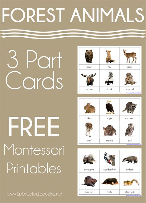 montessori cards printable
