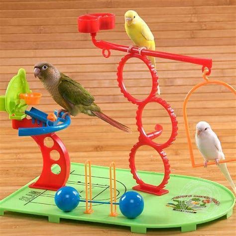 parakeets cost  expenses  included