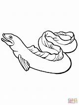 Eel Coloring Pages Drawing Eels Moray Printable Fish Color Kids Supercoloring Life Drawings sketch template