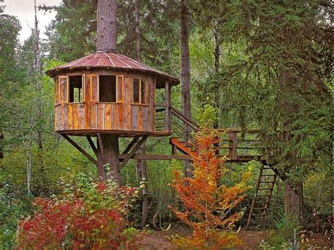 tree fort deck backyard ideas pinterest