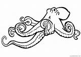 Octopus Coloring Printable Coloring4free Pages Giant Related Posts sketch template
