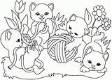 Chaton Mignon Coloriages Animaux Greatestcoloringbook sketch template