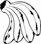 Platano Banana Plátanos Pintar Bananas sketch template