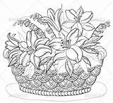 Contours Korb Fiori Konturen Baskets Adults Embroidery Cesti Patterns Wattled Crafts 123rf Ribbon sketch template