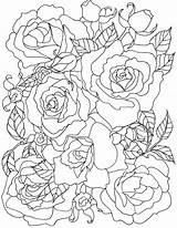 Coloring Pages Rose Roses Flower Flowers Adult Printable Adults Drawing Fun Family Line Georgia Happy Keeffe Colouring Sheets Print Mandala sketch template