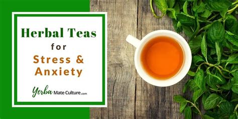 Best Herbal Teas For Stress And Anxiety Find A Natural Relief