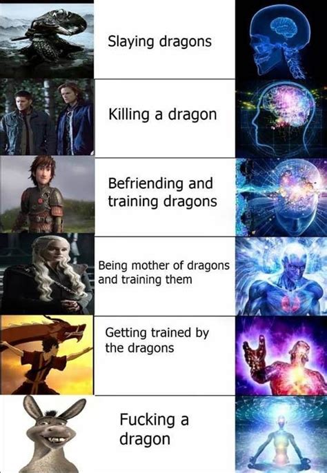 dragons meme guy