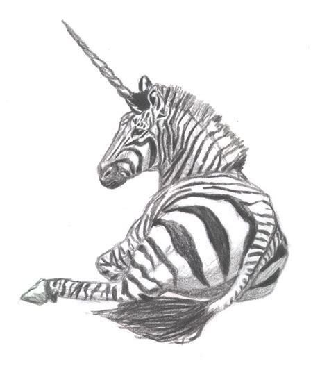 zebra unicorn  lil dose  deviantart zebra drawing drawings zebra