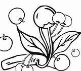 Fruits Rare Coloring Pages sketch template