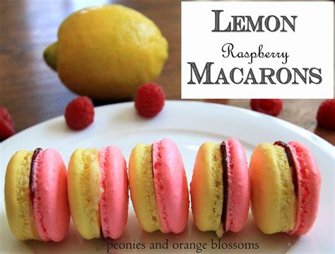 lemon raspberry macaron recipe petite haus