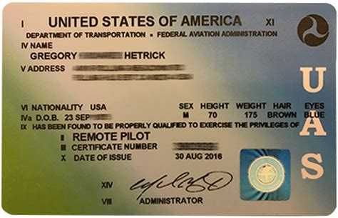beer  wine license california     drone pilot license