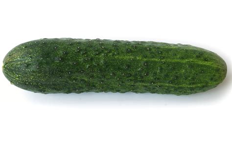kostenlose bild gurke gemuese pflanze lebensmittel ernaehrung vitamin bio