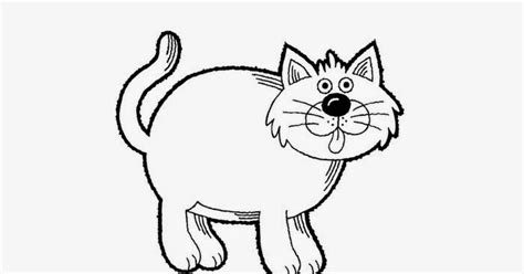 cat coloring page  coloring pages  coloring books  kids