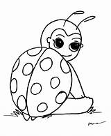Ladybug Ladybird sketch template