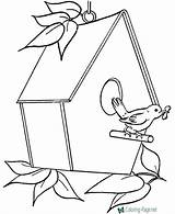 House Coloring Pages Bird sketch template