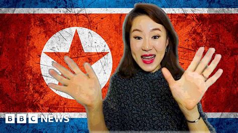 the north korean youtuber pushing for peace bbc news