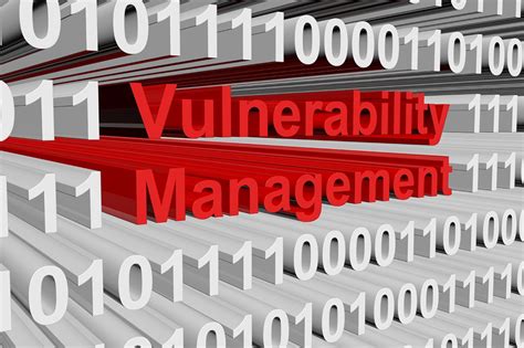 vulnerability management protects  organization