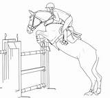 Horse Jumping Drawing Horses Drawings Lineart Outline Showjumping Sketch Deviantart Getdrawings Painting Sketches sketch template